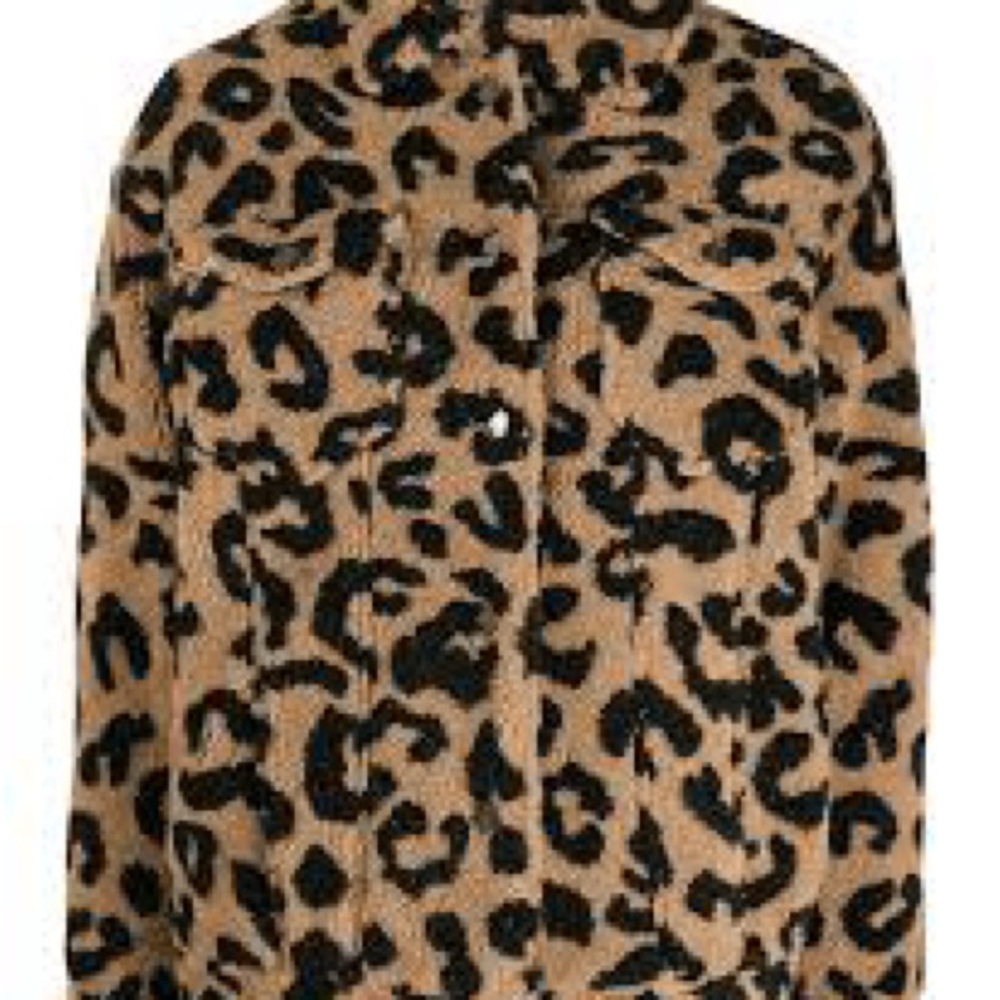 Apparis Black and Tan Teddy Jacket
